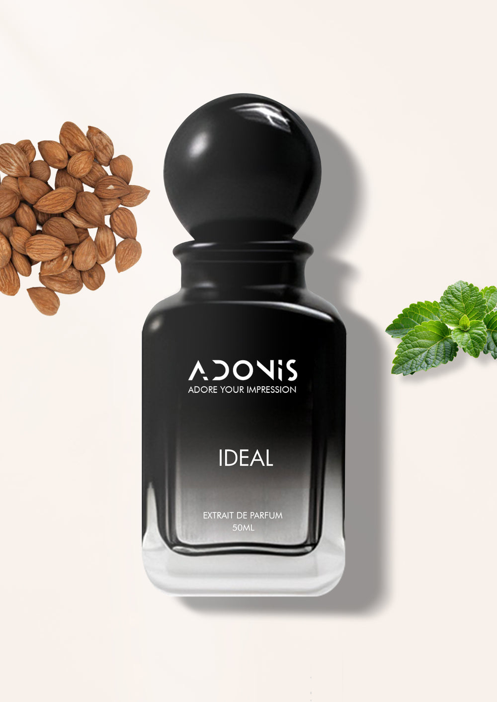 IDEAL - Adonis