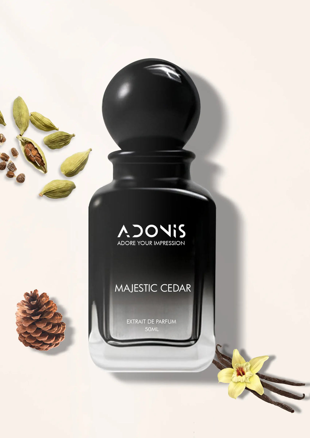 MAJESTIC CEDAR - Adonis