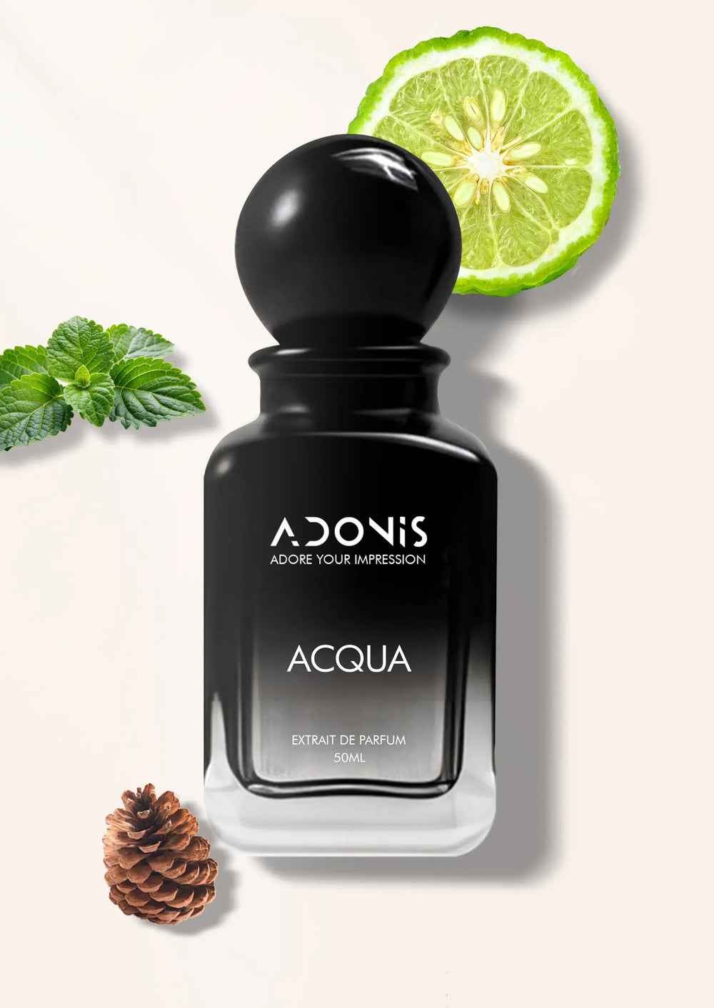 ACQUA - Adonis