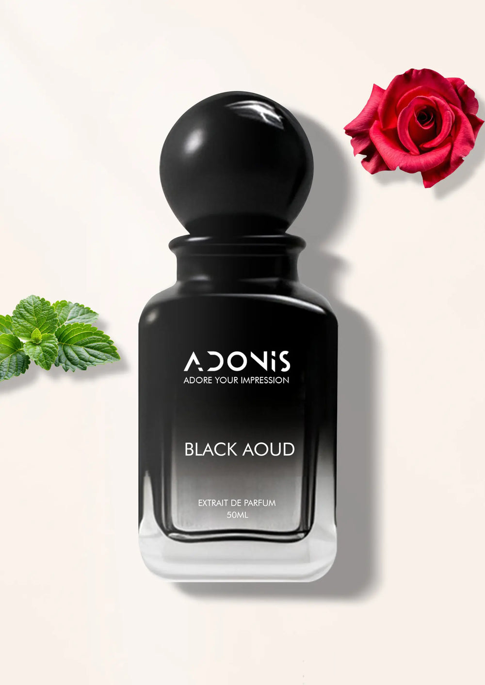BLACK AOUD - Adonis