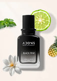 BLACK PINE - Adonis