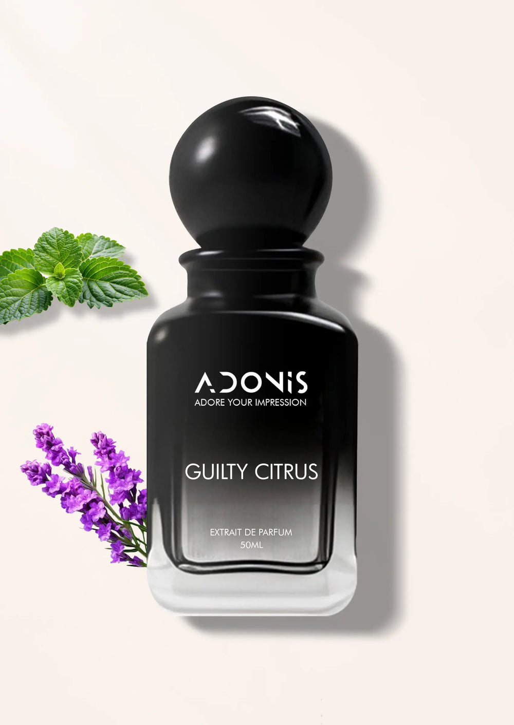 GUILTY CITRUS - Adonis