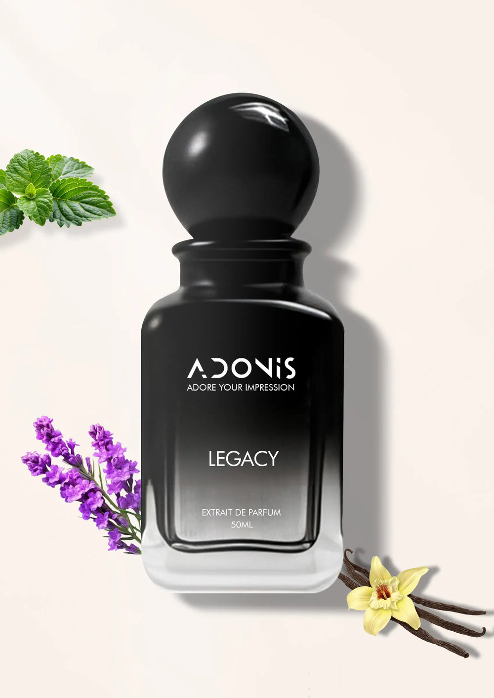 LEGACY - Adonis