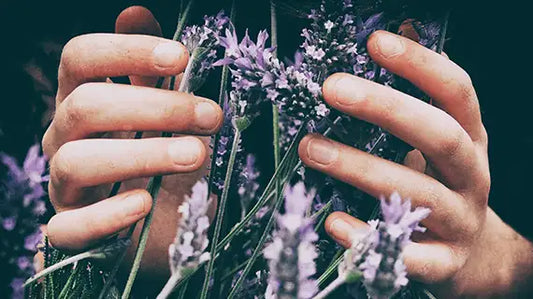 Discover Your Floral Side with a New Scent!