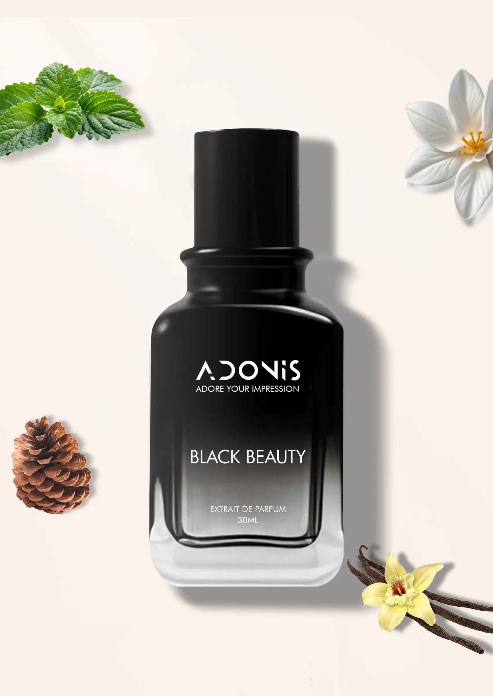 BLACK BEAUTY - Adonis