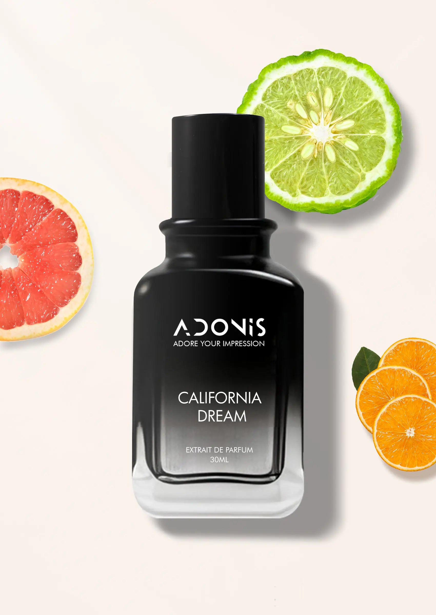 CALIFORNIA DREAM - Adonis
