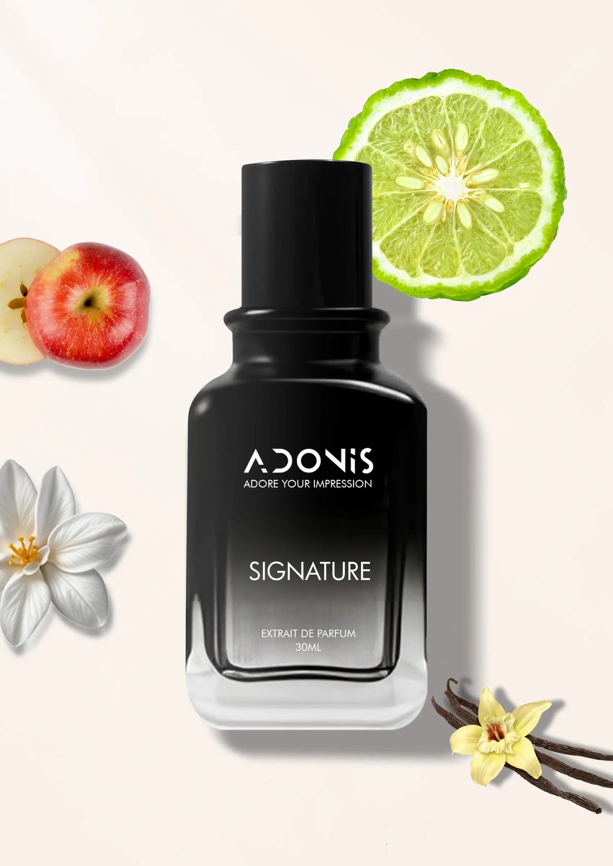 SIGNATURE - Adonis