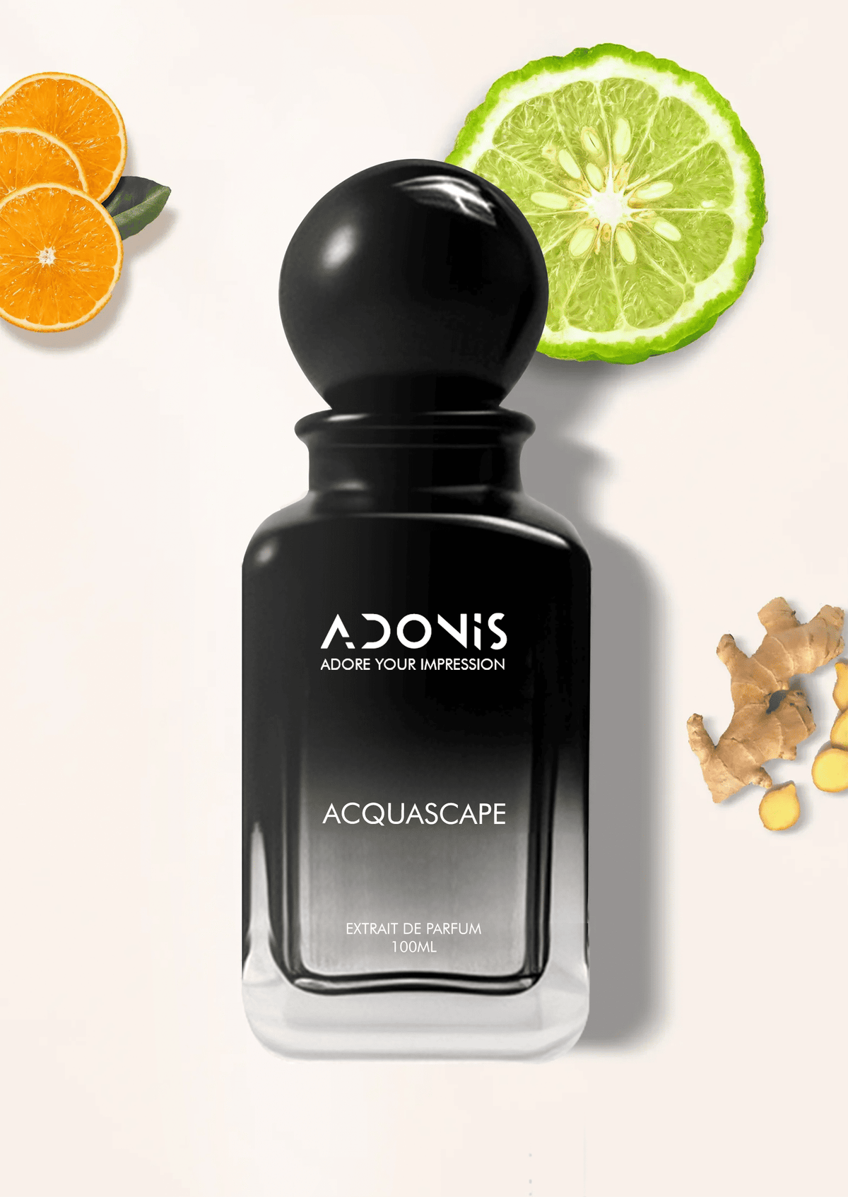 AQUASCAPE - Adonis