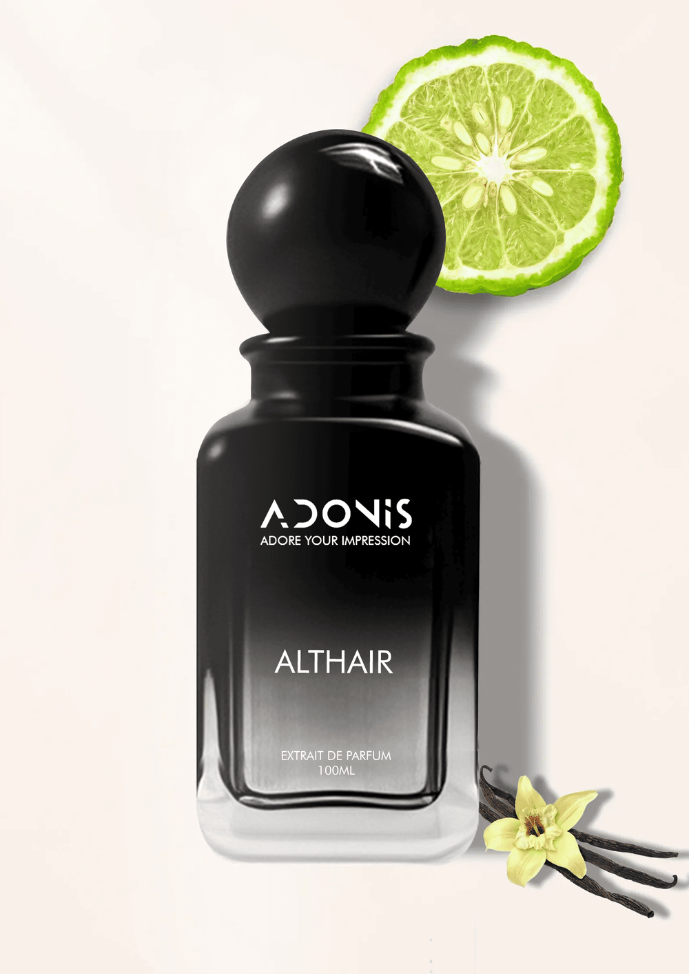 ALTHAIR - Adonis