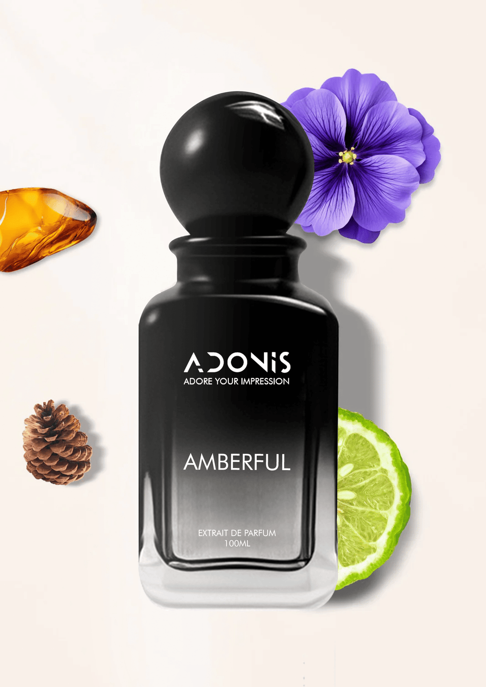 AMBERFUL - Adonis