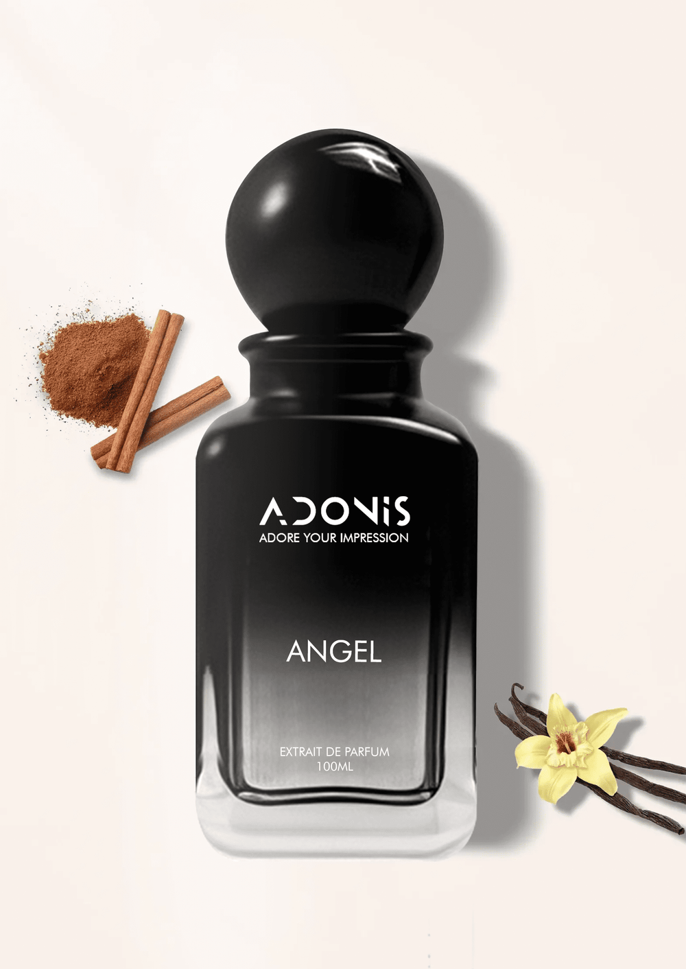 ANGEL - Adonis