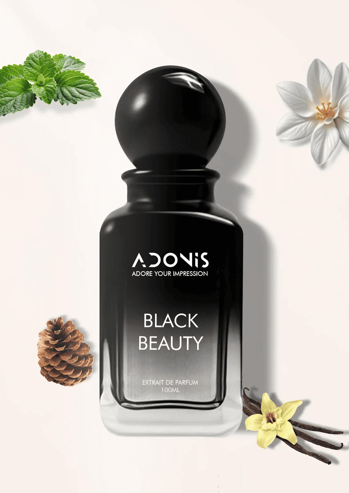 BLACK BEAUTY - Adonis