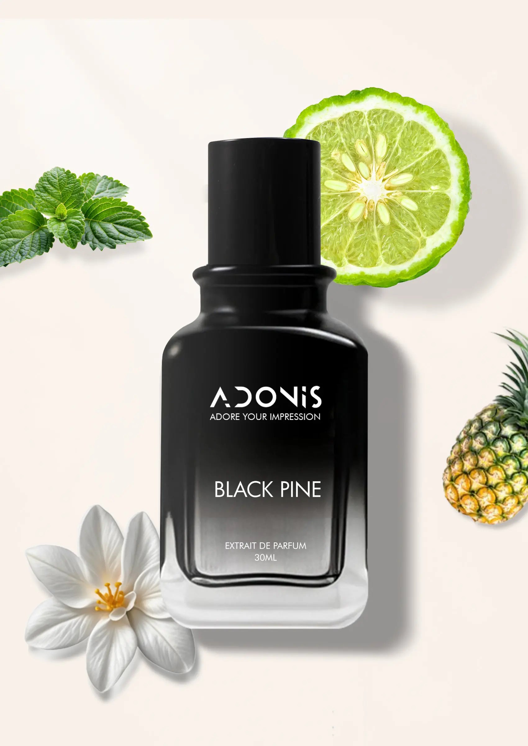 BLACK PINE - Adonis