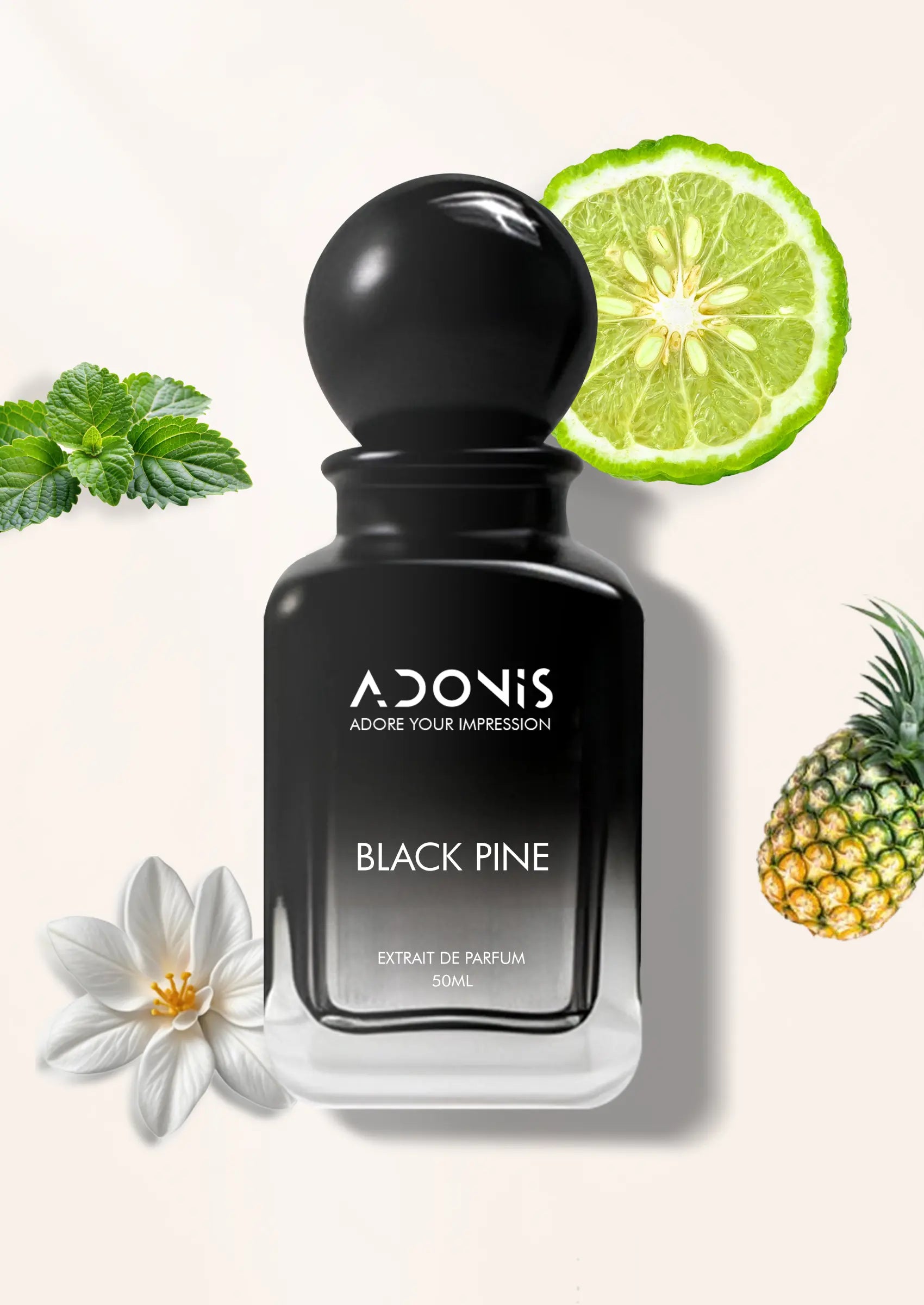 BLACK PINE - Adonis