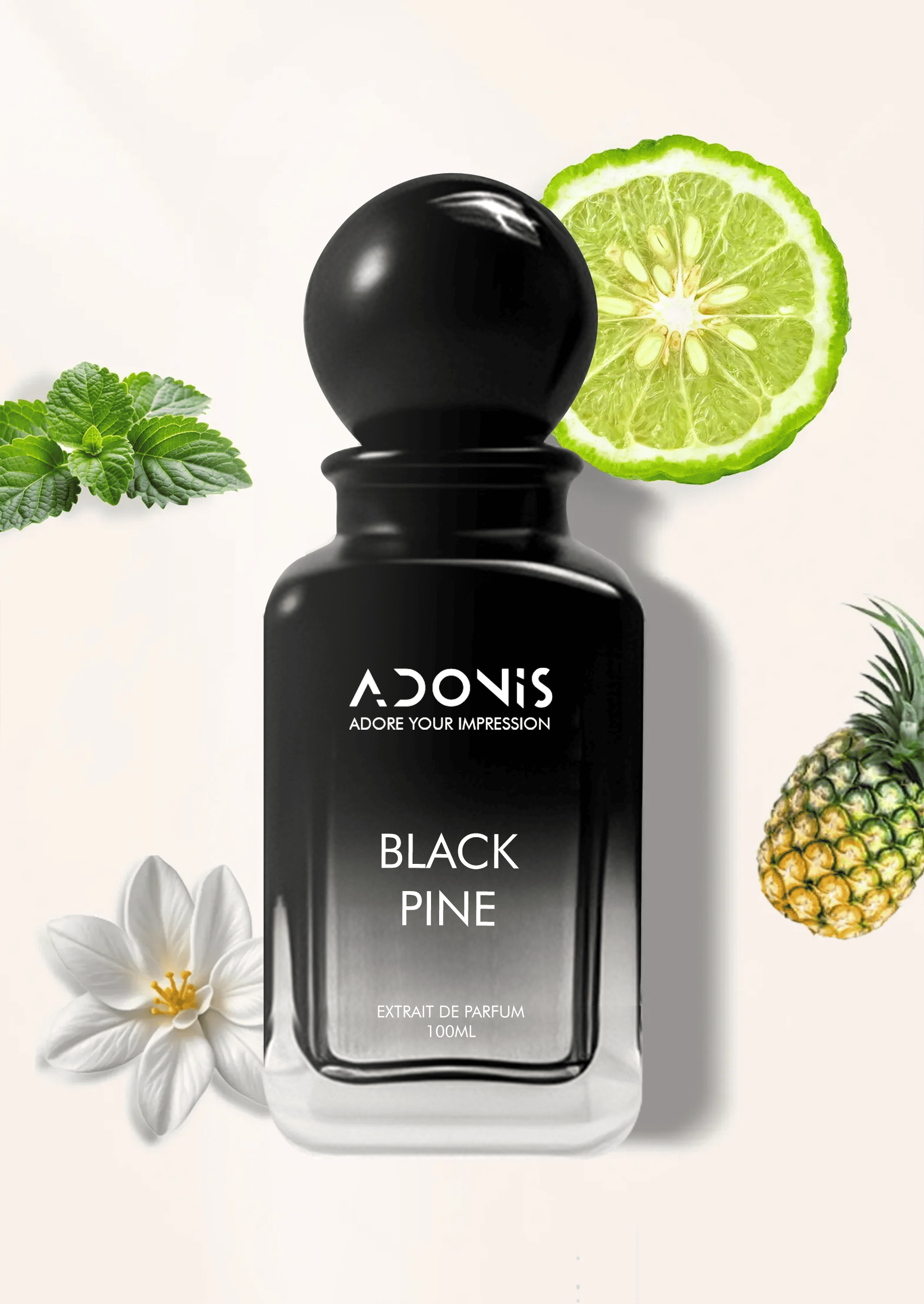 BLACK PINE - Adonis