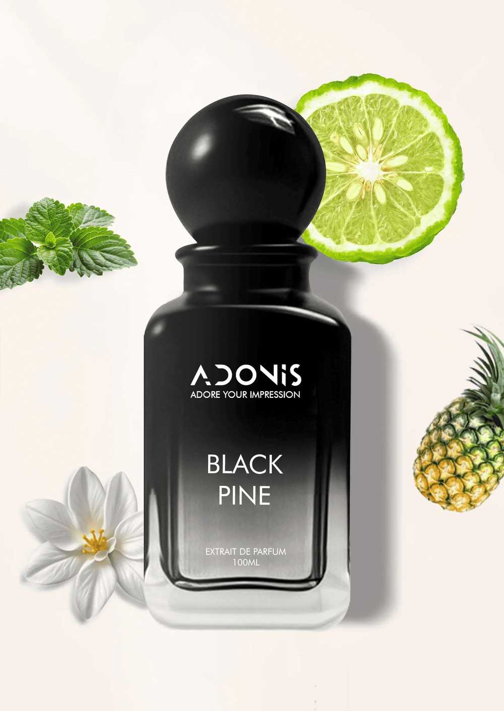 BLACK PINE - Adonis