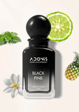 BLACK PINE - Adonis