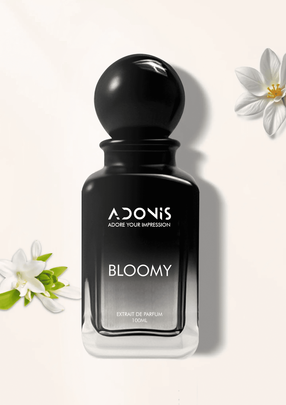 BLOOMY - Adonis
