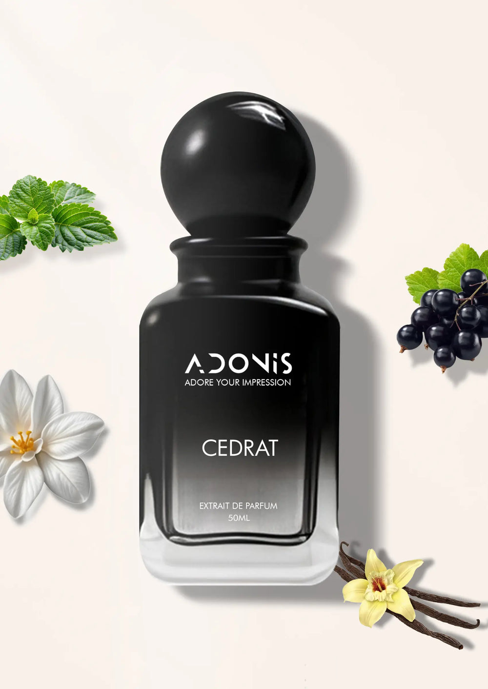 CEDRAT - Adonis