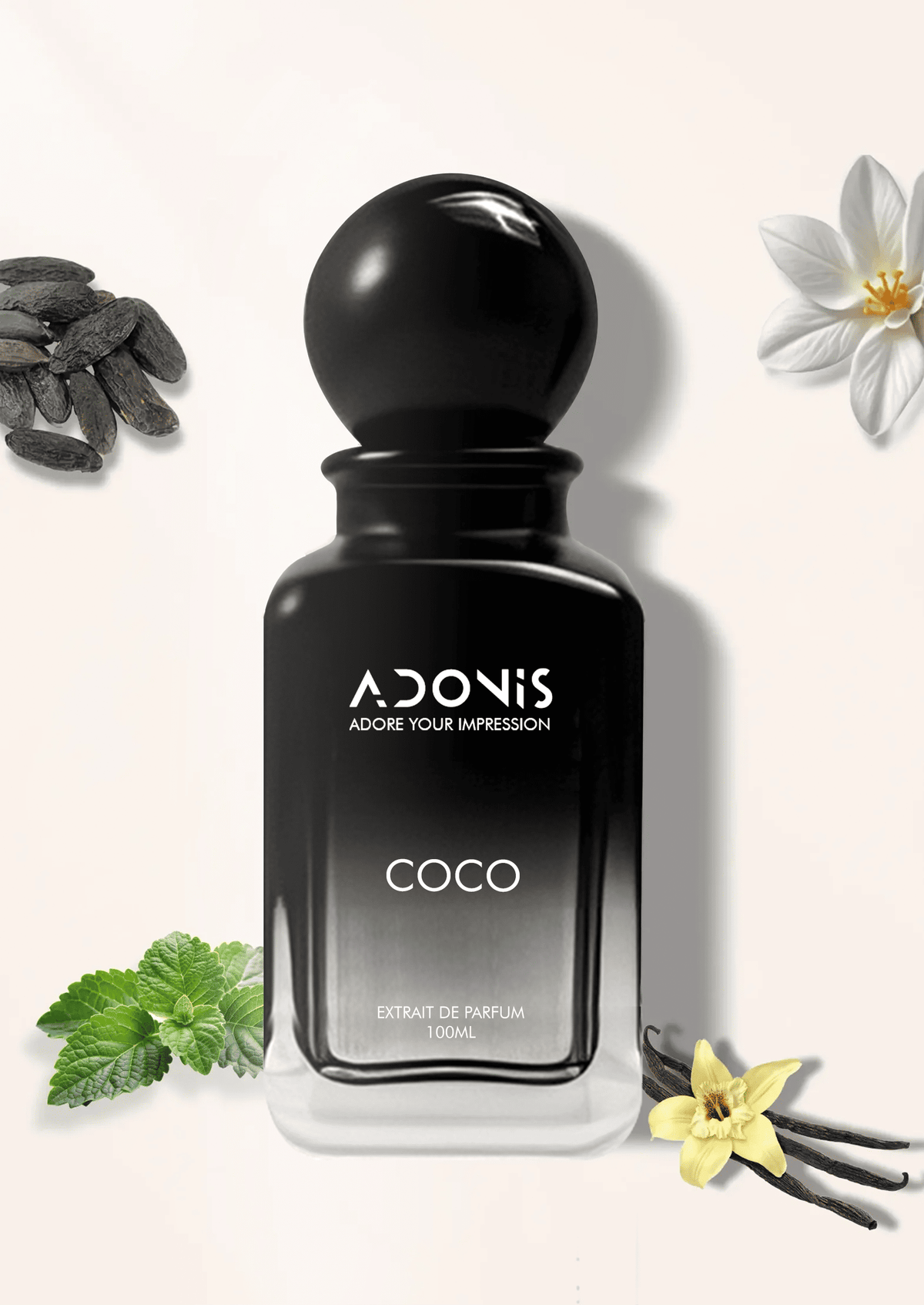 COCO - Adonis