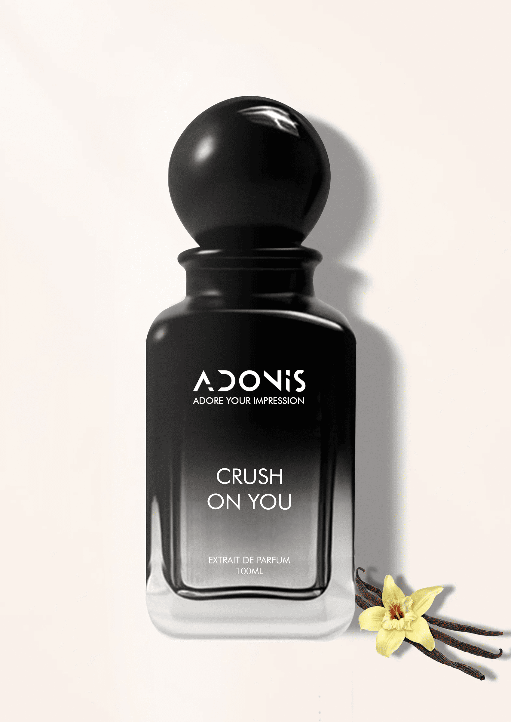 CRUSH ON YOU - Adonis