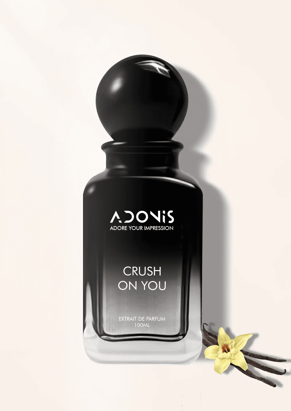 CRUSH ON YOU - Adonis