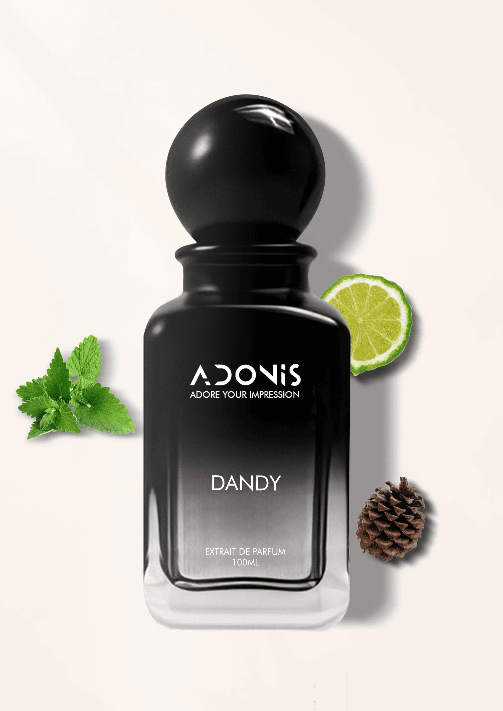 DANDY