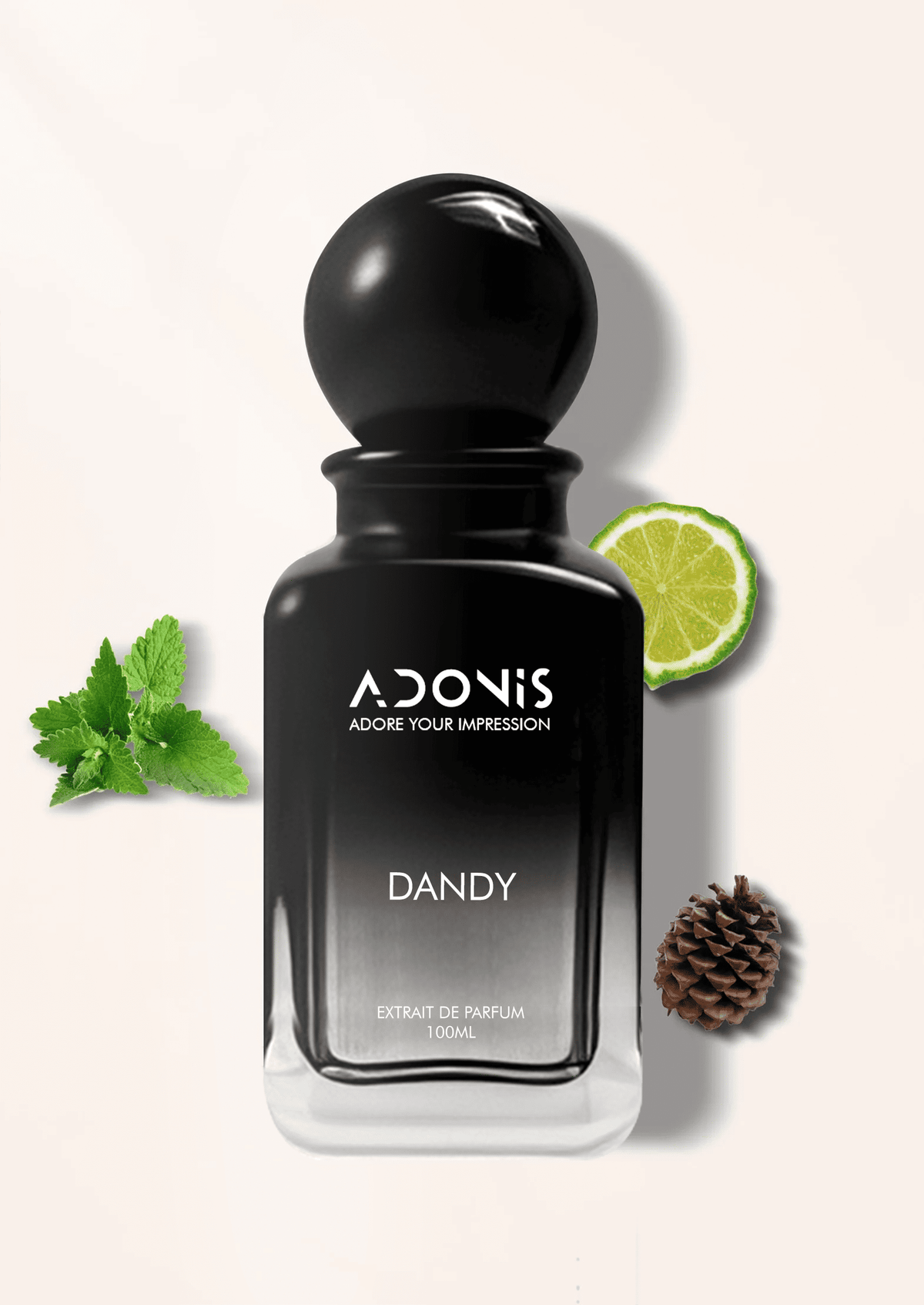 DANDY