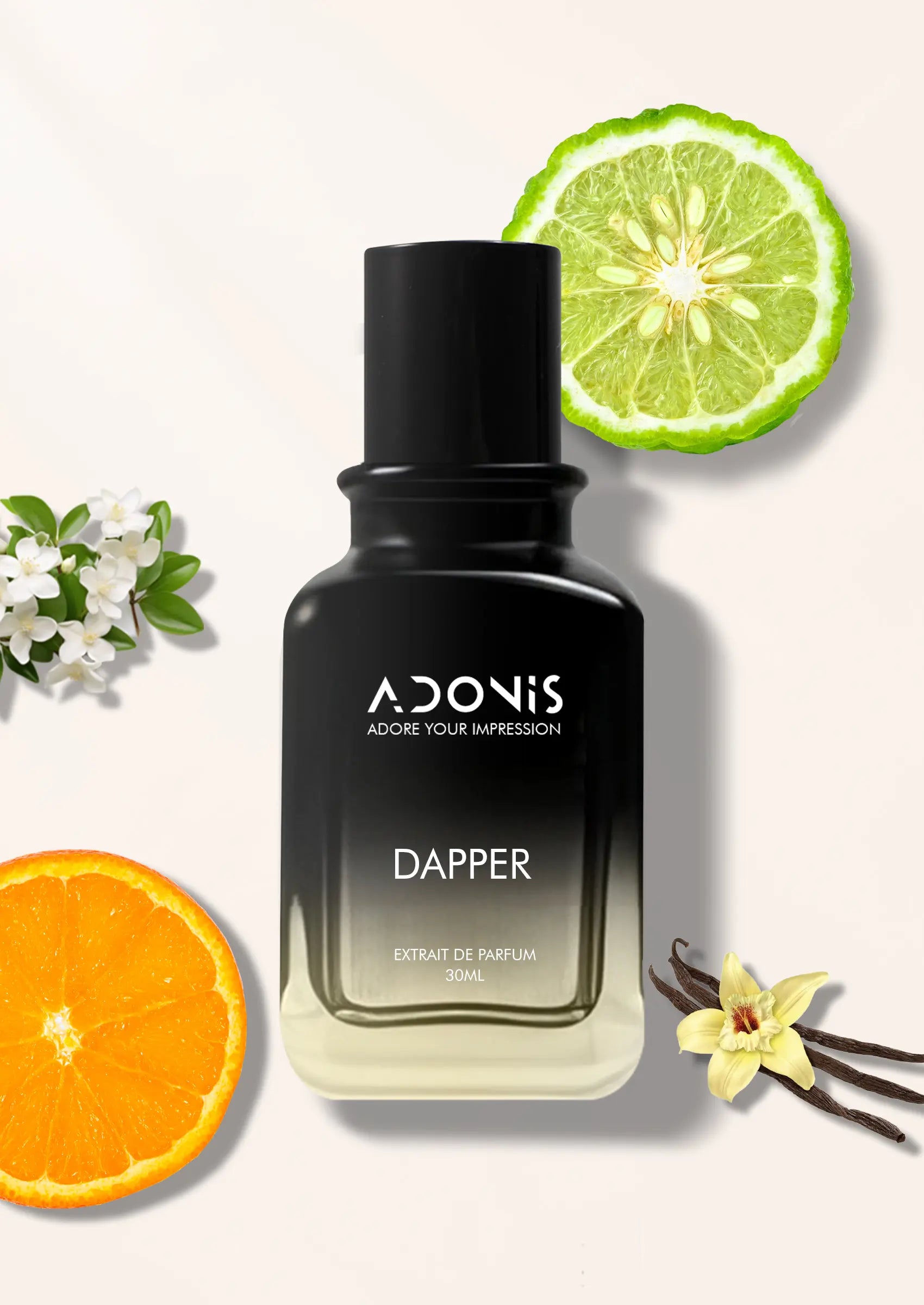 Dapper V DAPPER – Adonis