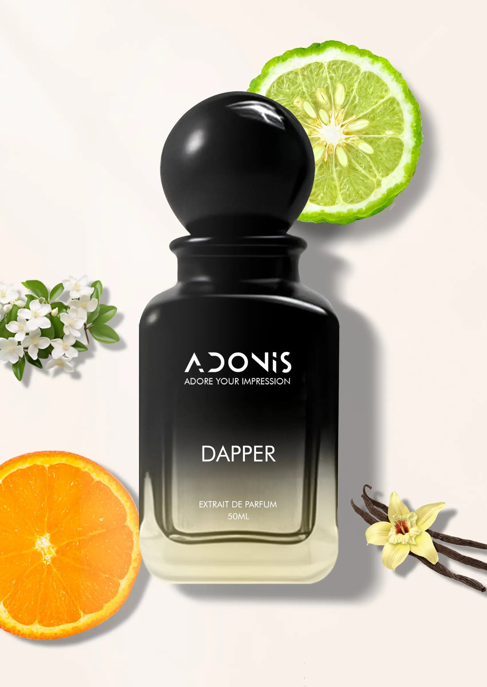 Dapper V DAPPER – Adonis