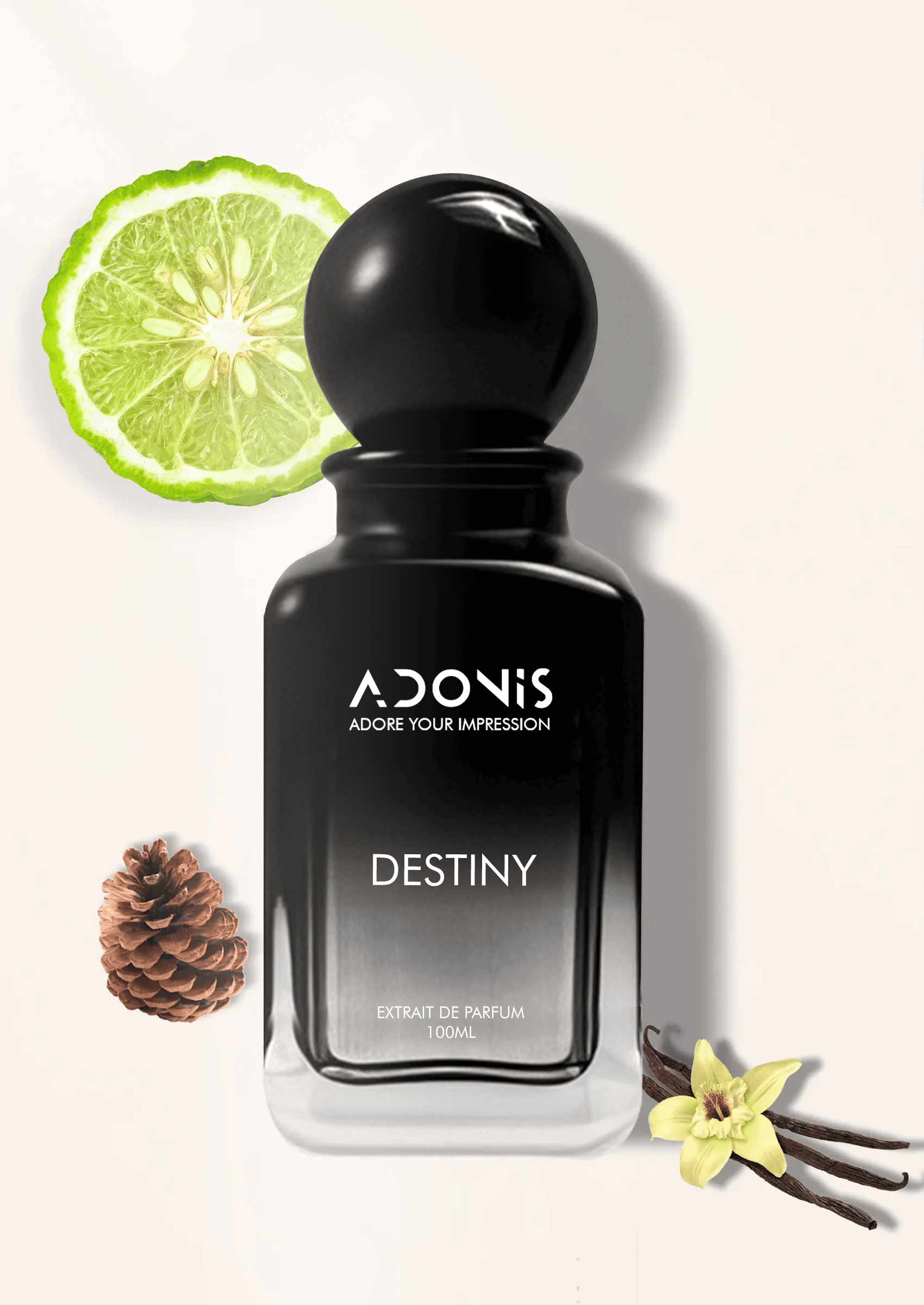 DESTINY - Adonis