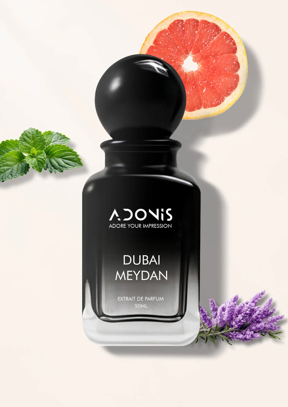 DUBAI MEYDAN - Adonis