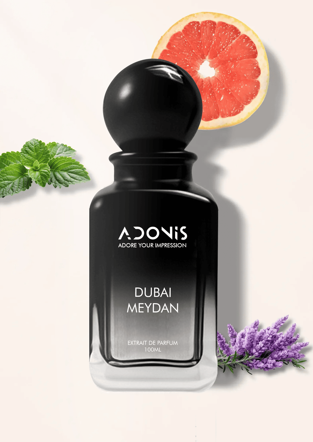 DUBAI MEYDAN - Adonis