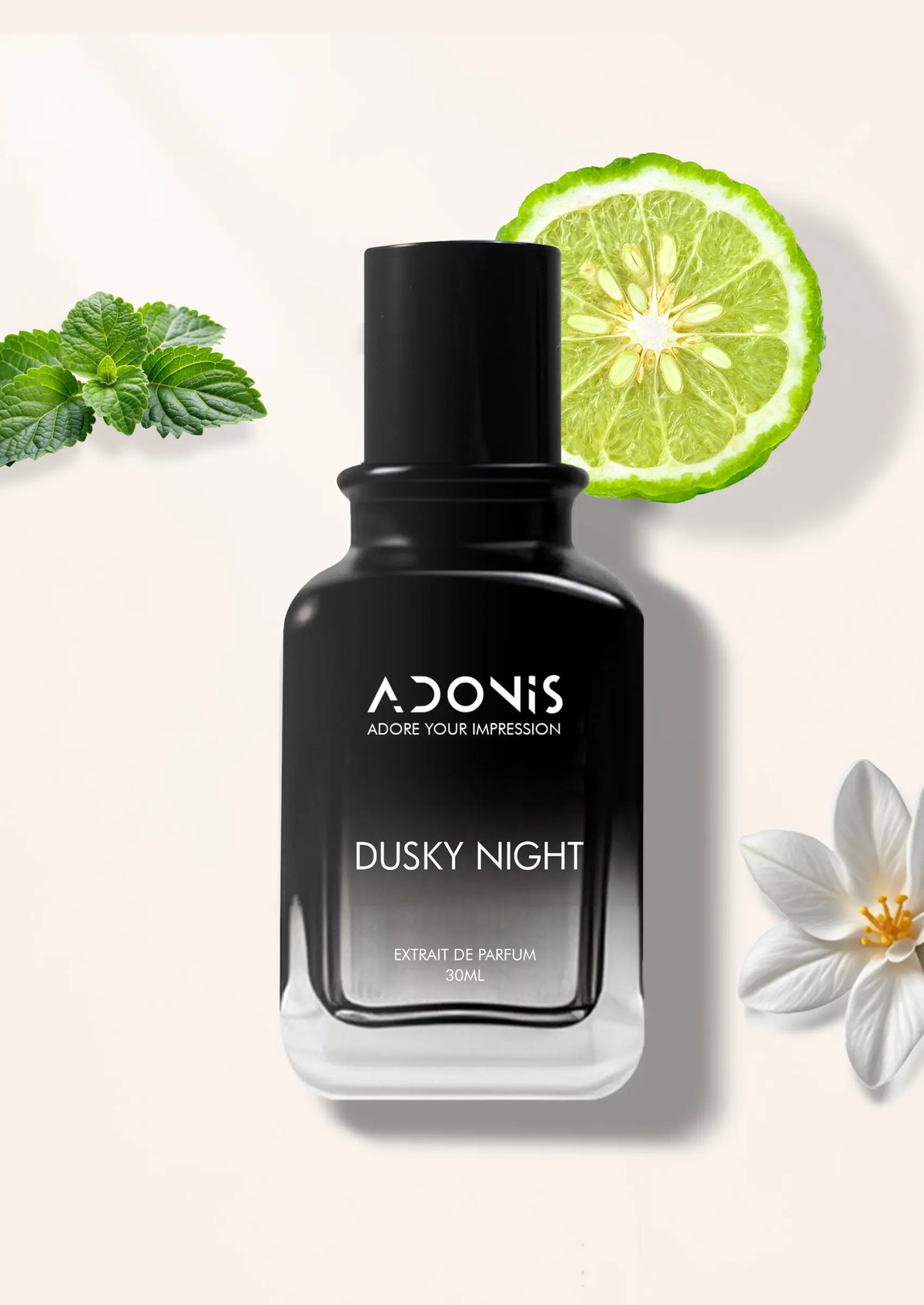 DUSKY NIGHT - Adonis