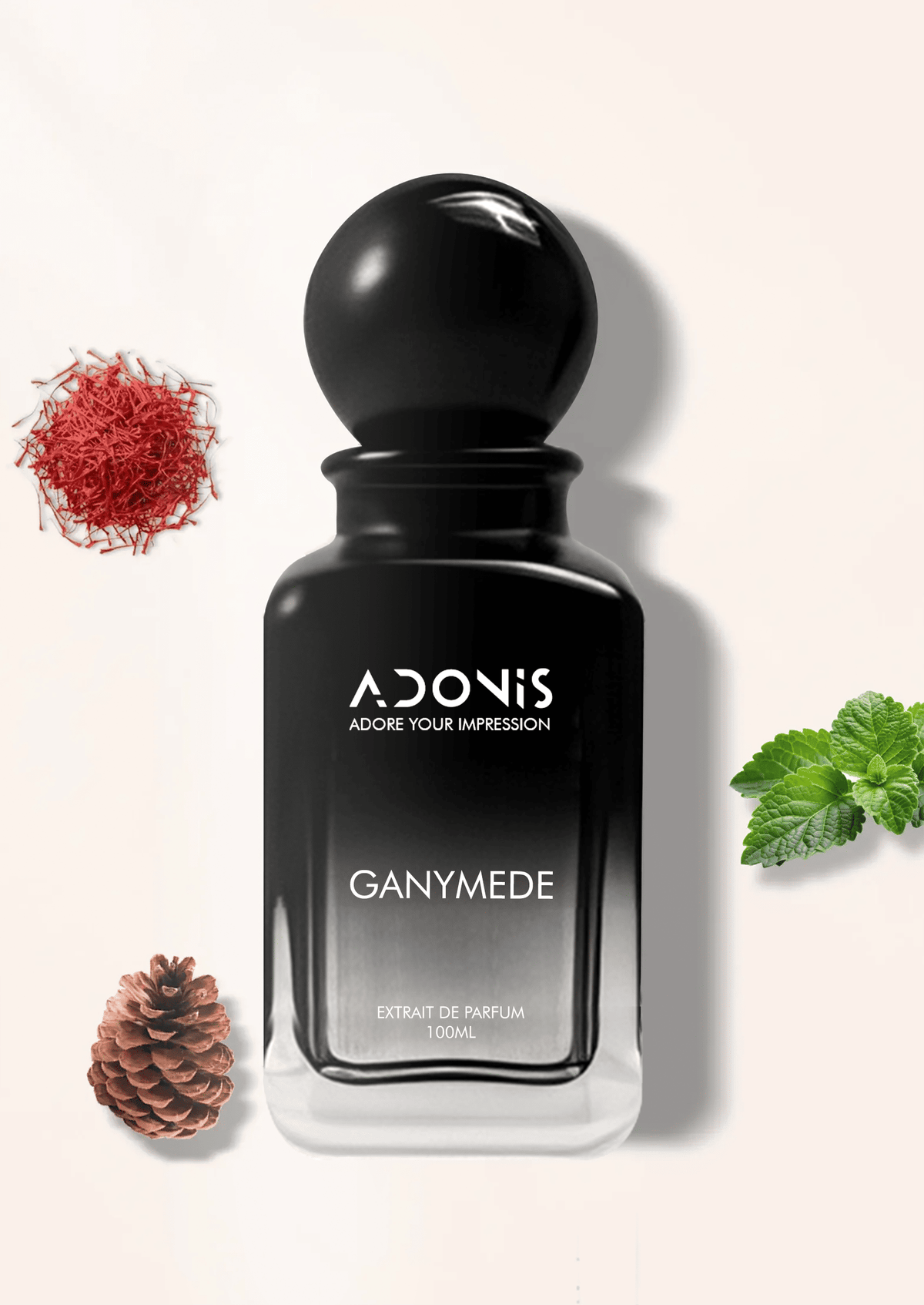 GANYMEDE - Adonis