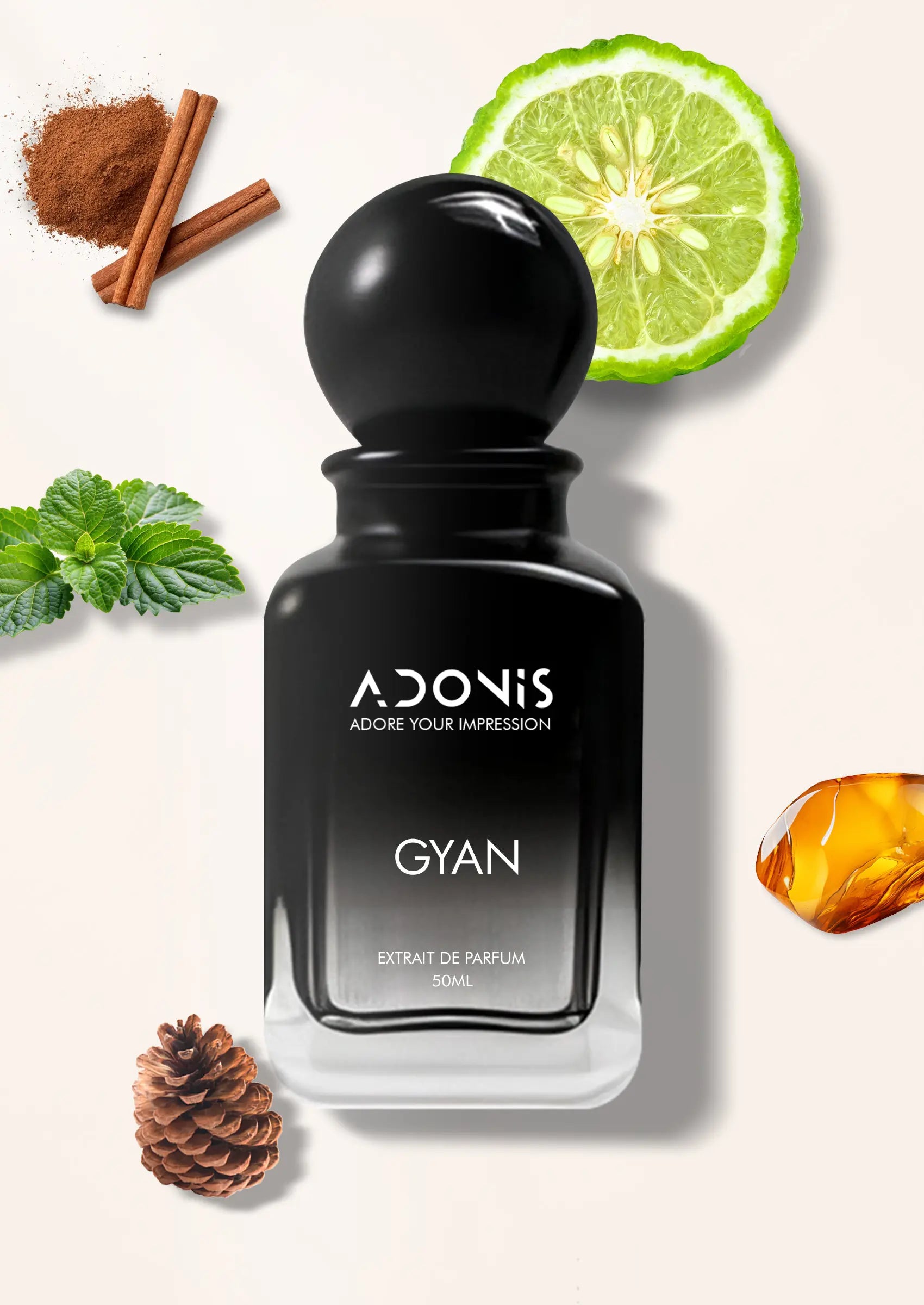 GYAN - Adonis