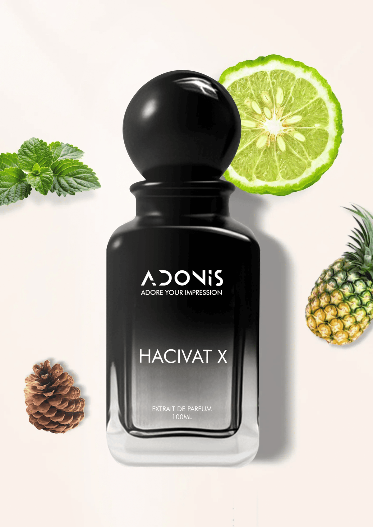 HACIVAT X - Adonis