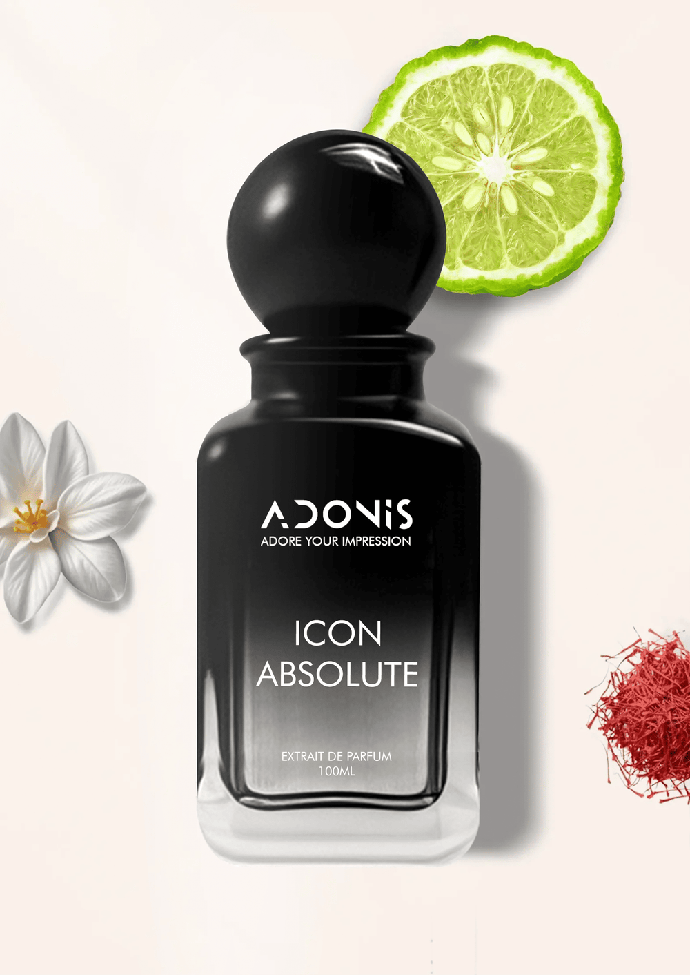 ICON ABSOLUTE - Adonis