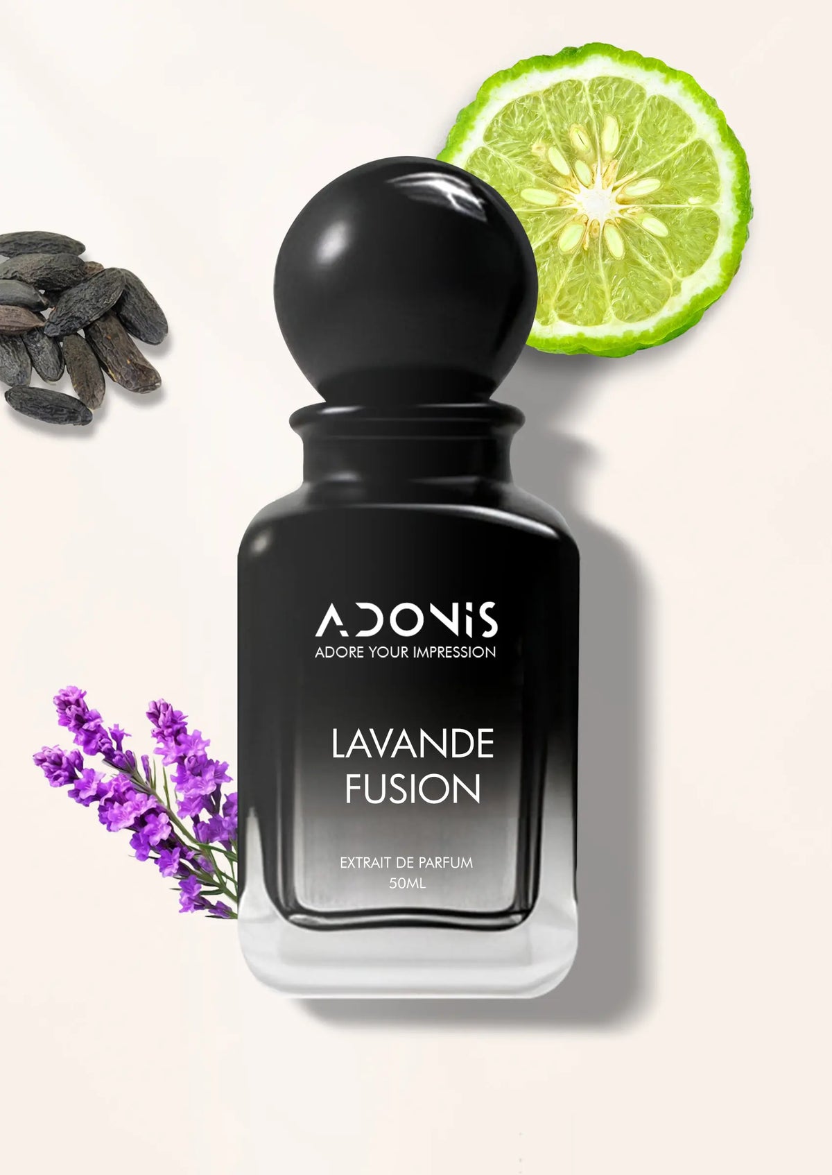 LAVANDE FUSION - Adonis
