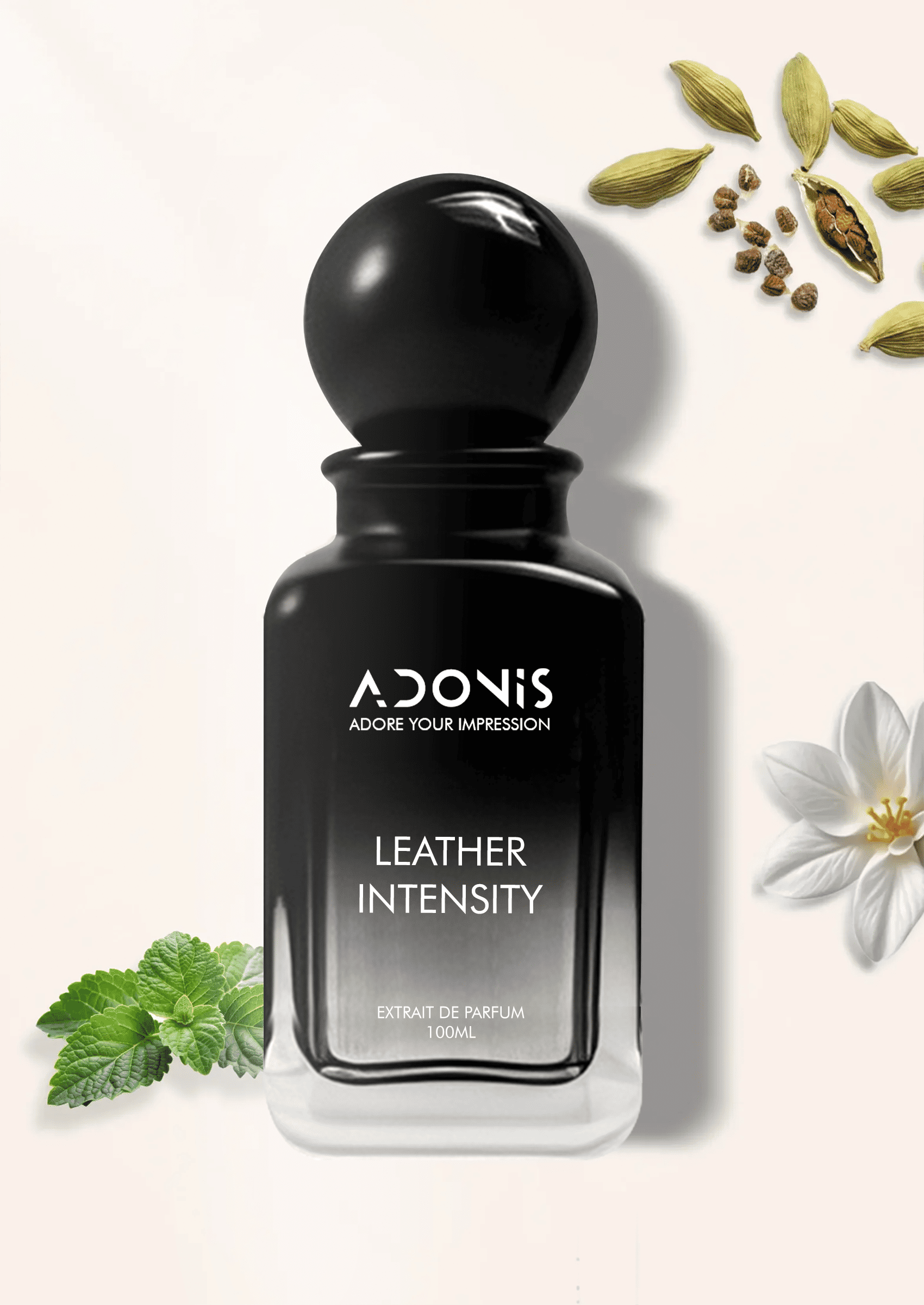 LEATHER INTENSITY - Adonis