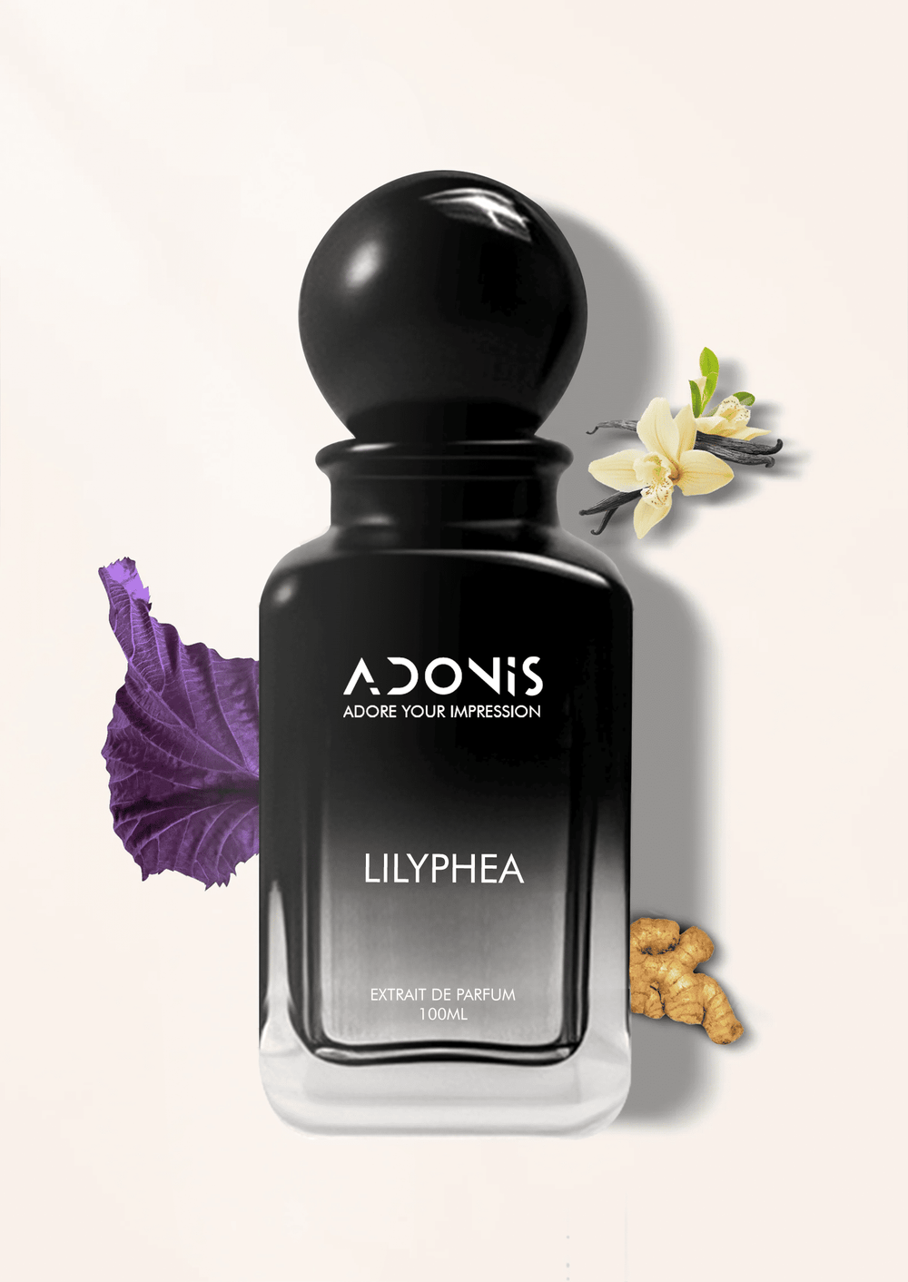 LILYPHEA - Adonis