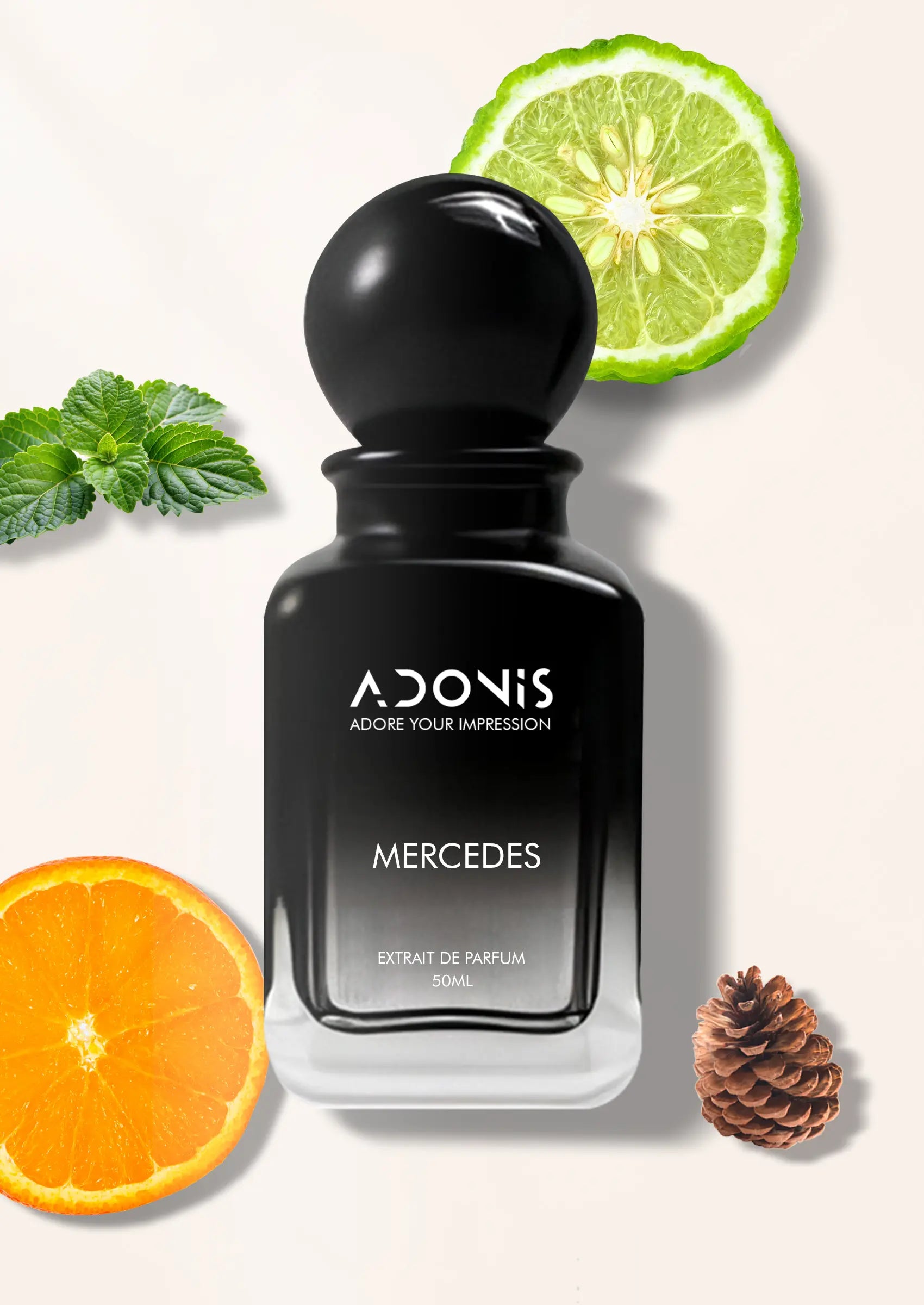 MERCEDES - Adonis