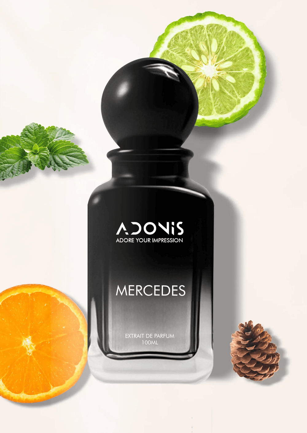 MERCEDES - Adonis