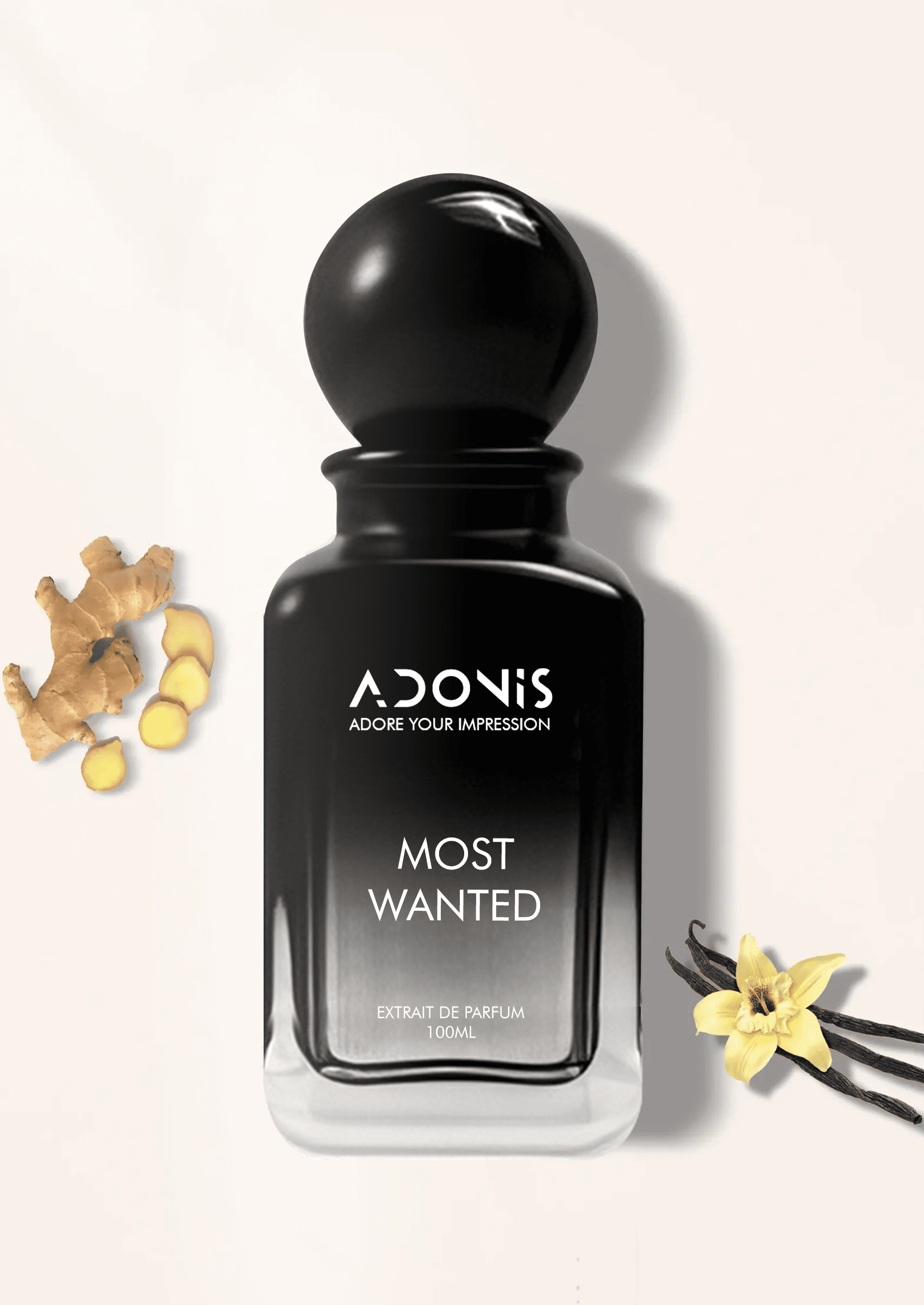 MOST WANTED - Adonis