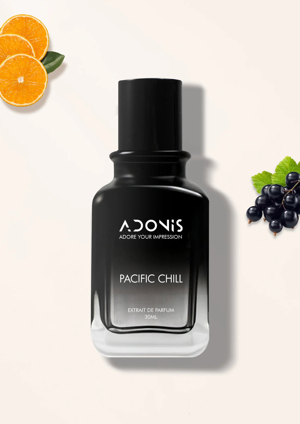 PACIFIC CHILL - Adonis