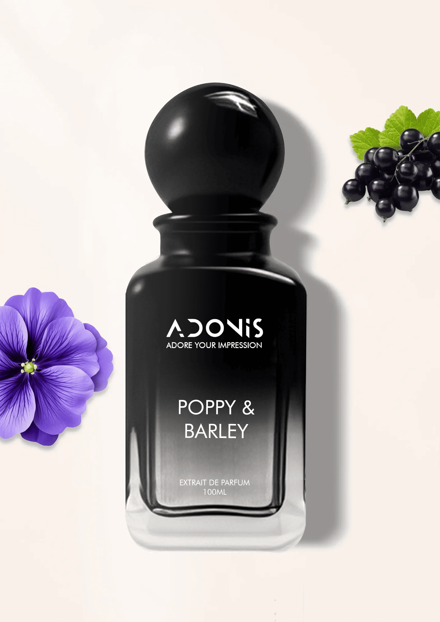 POPPY & BARLEY - Adonis