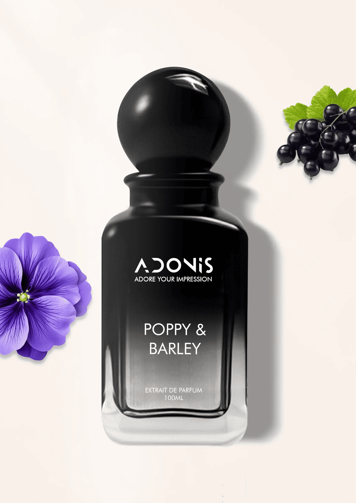 POPPY & BARLEY - Adonis