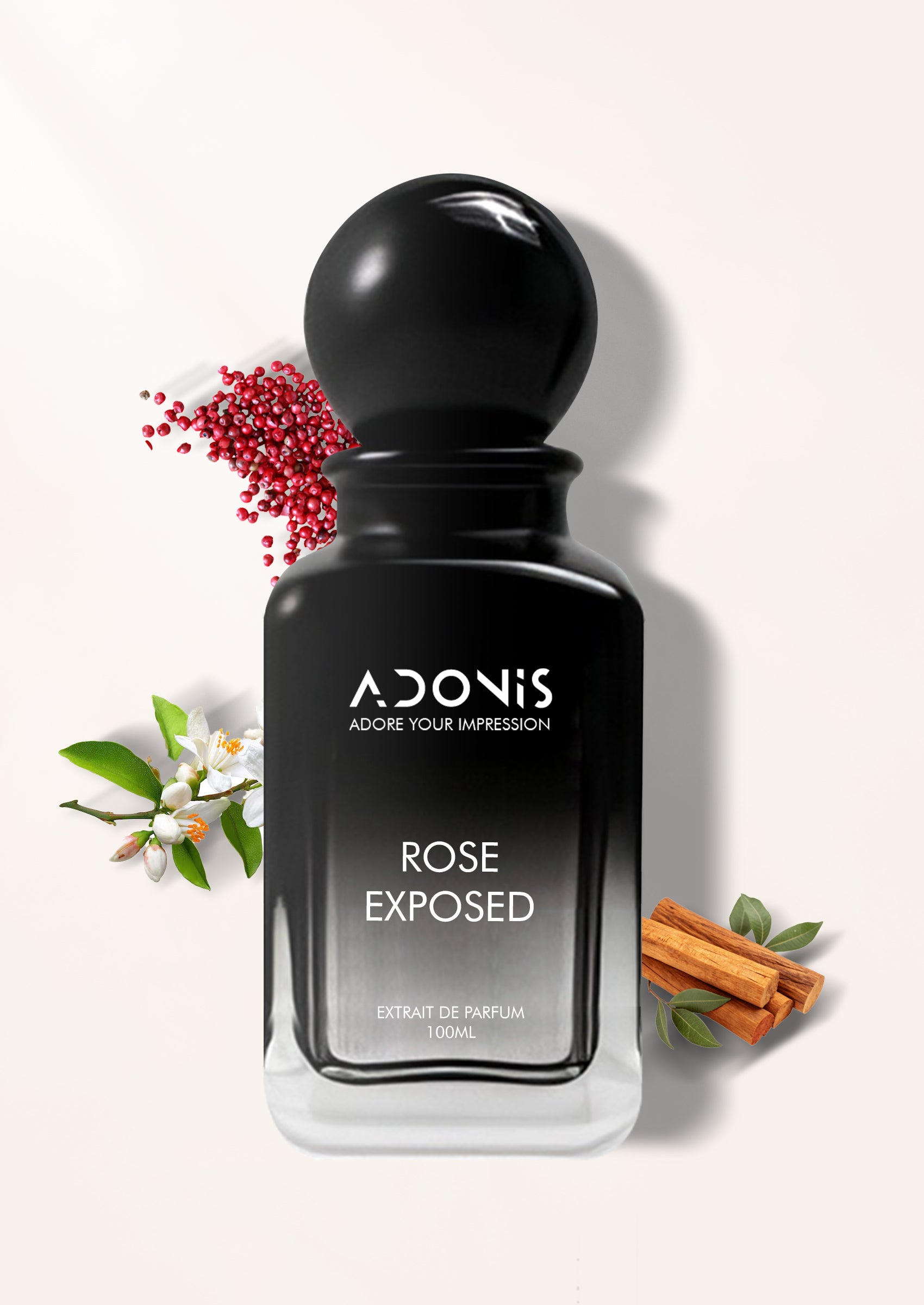 ROSE NOIR