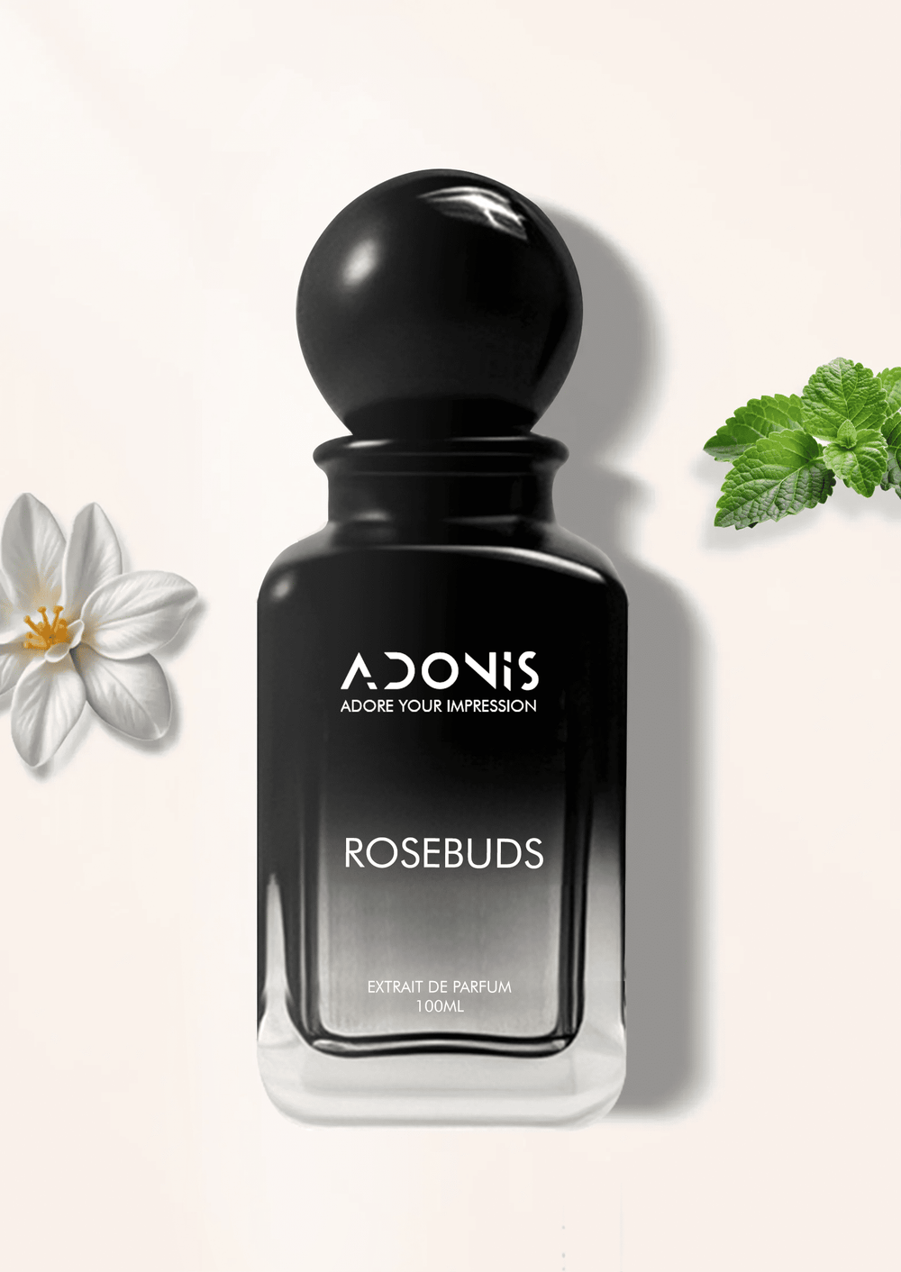 ROSEBUDS - Adonis