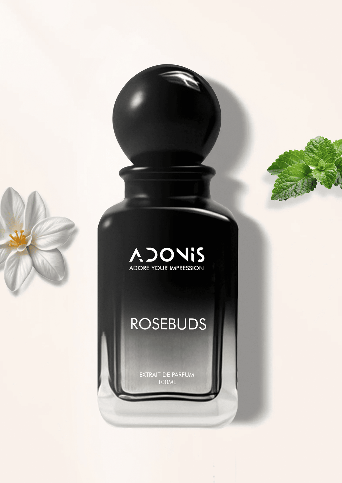 ROSEBUDS - Adonis
